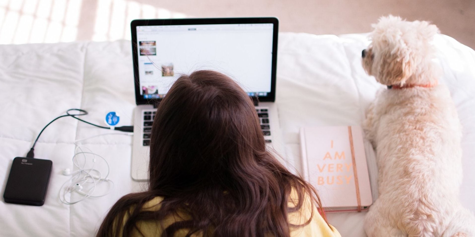 Women looking at jobs on computer with dog.